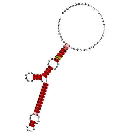 secondary structure