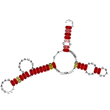 secondary structure