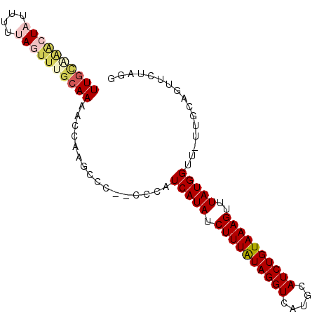 secondary structure