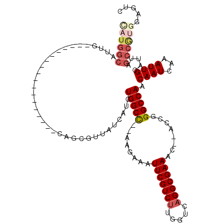 secondary structure