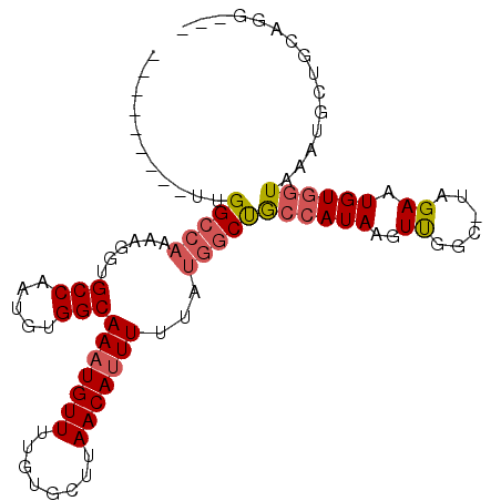 secondary structure