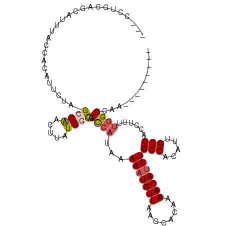 secondary structure