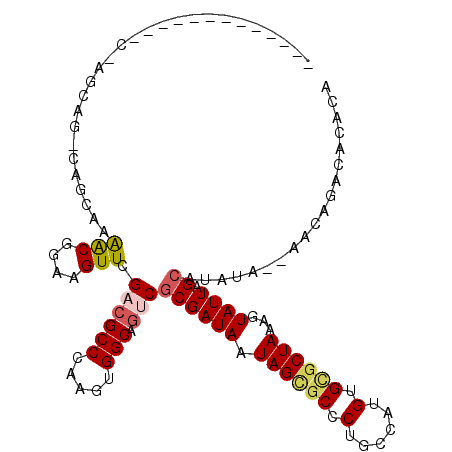 secondary structure