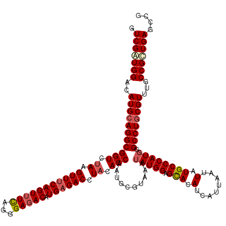 secondary structure