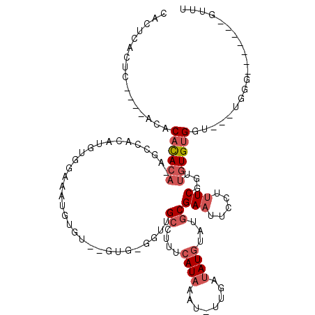 secondary structure