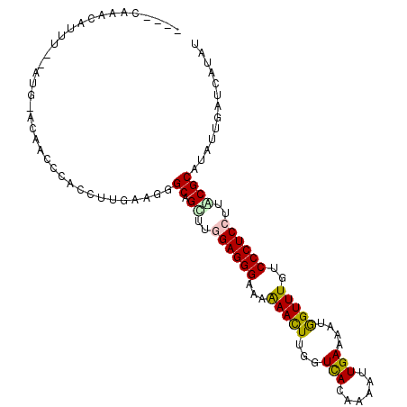 secondary structure