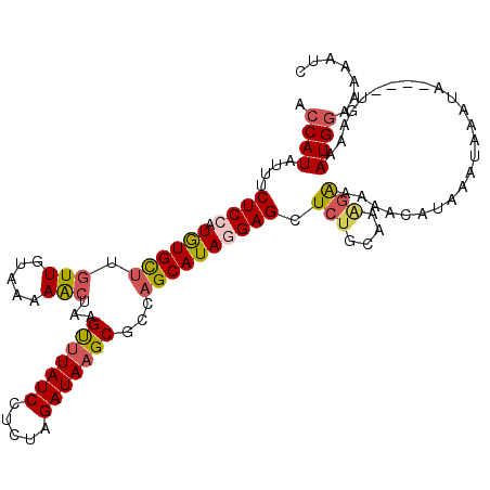 secondary structure
