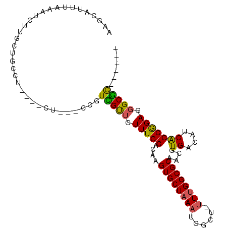 secondary structure