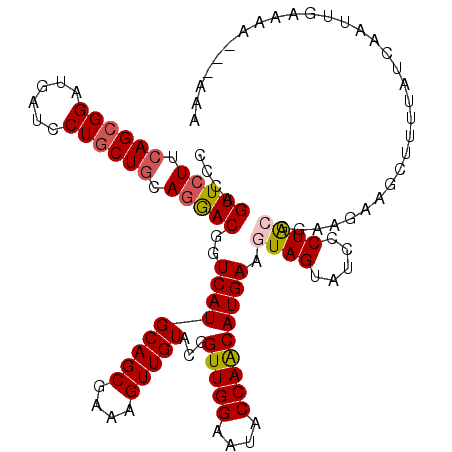secondary structure