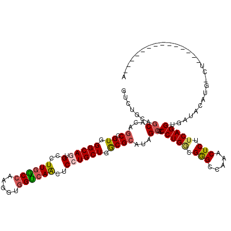 secondary structure