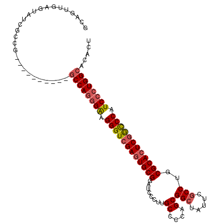 secondary structure