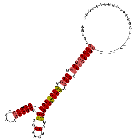 secondary structure