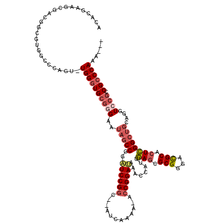 secondary structure