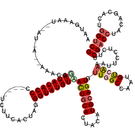 secondary structure