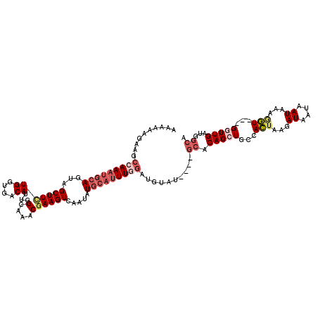 secondary structure