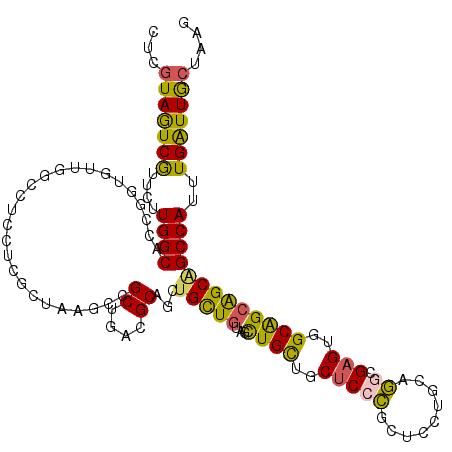 secondary structure