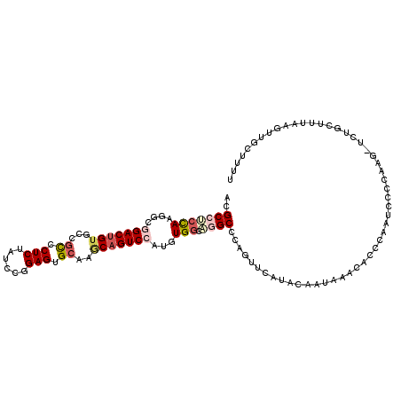 secondary structure