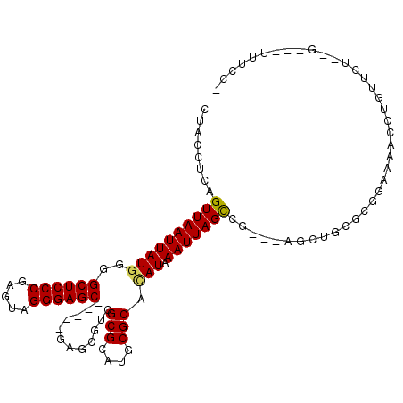 secondary structure