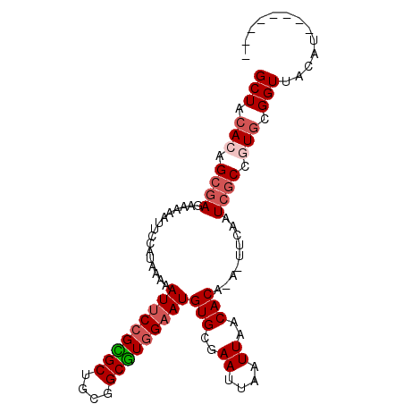 secondary structure
