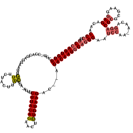 secondary structure