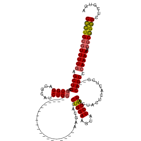 secondary structure