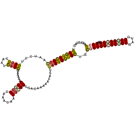 secondary structure