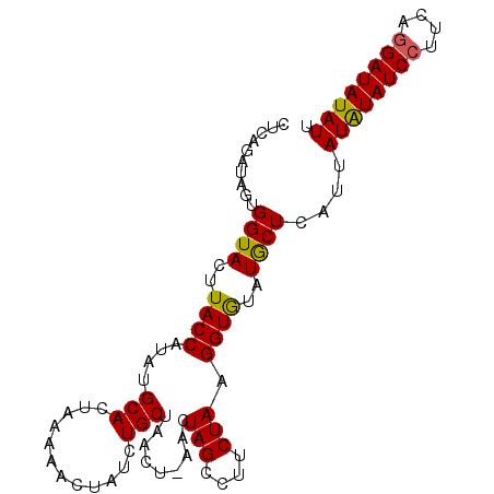 secondary structure