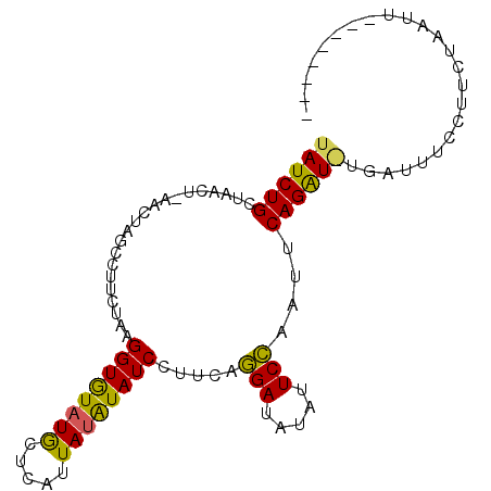 secondary structure