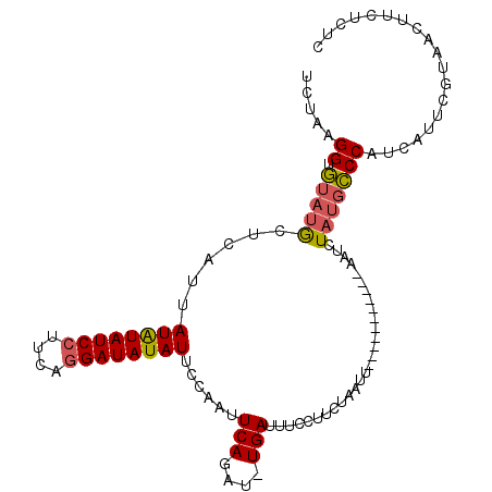 secondary structure