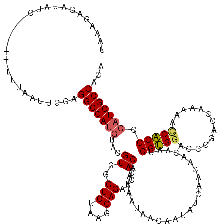 secondary structure