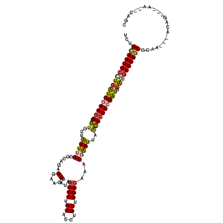 secondary structure