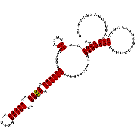 secondary structure