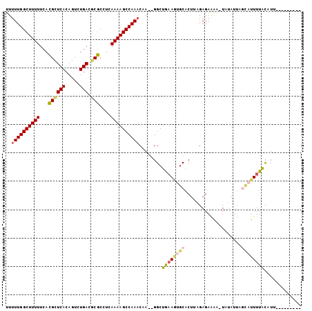 dotplot