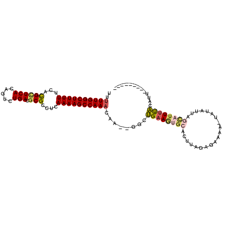 secondary structure