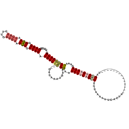 secondary structure