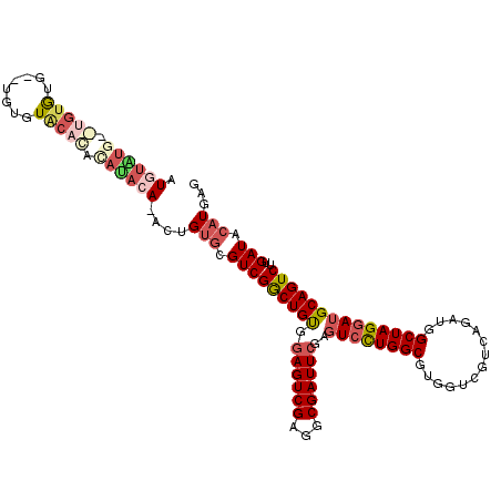 secondary structure