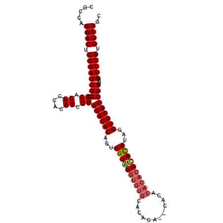 secondary structure