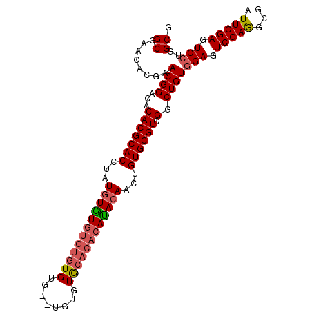 secondary structure