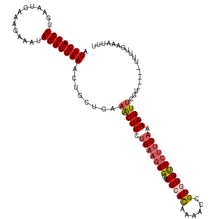 secondary structure