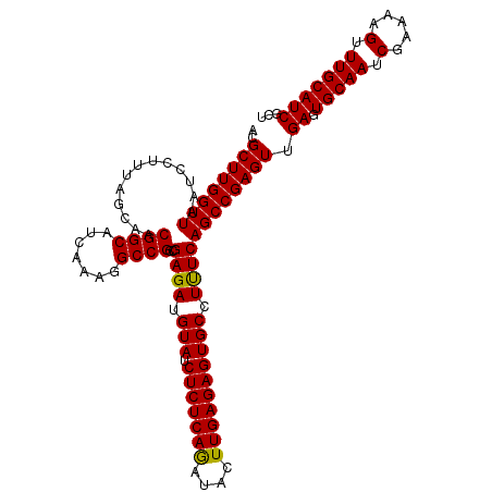 secondary structure