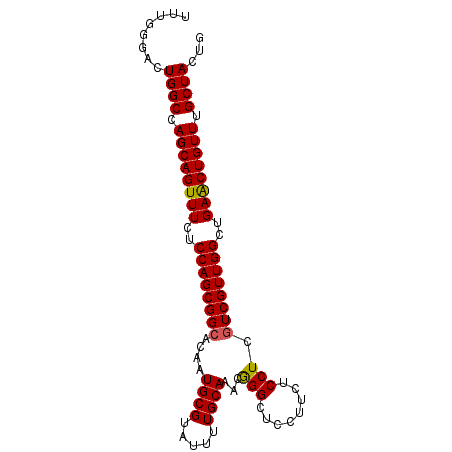 secondary structure