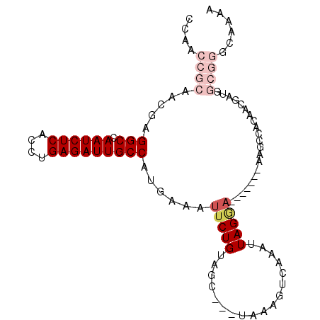 secondary structure