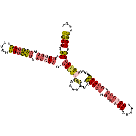 secondary structure