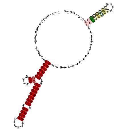 secondary structure