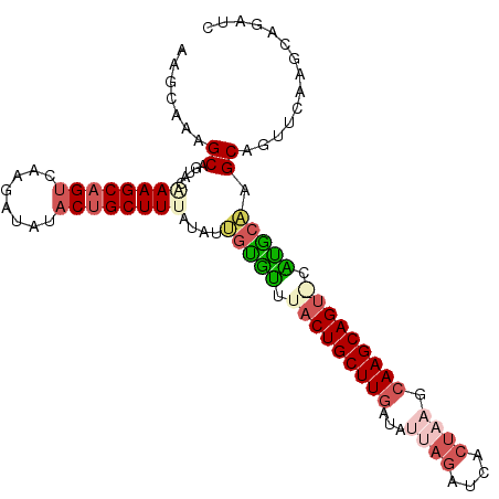 secondary structure