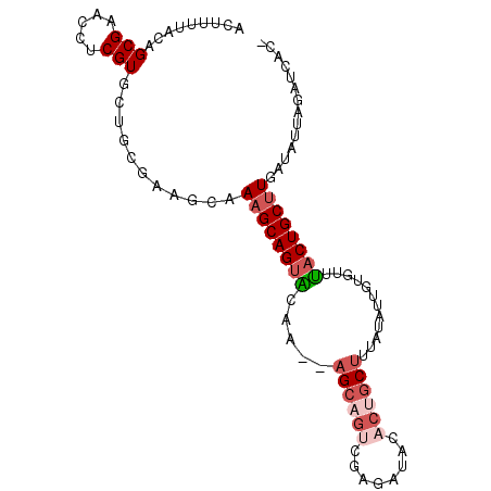 secondary structure