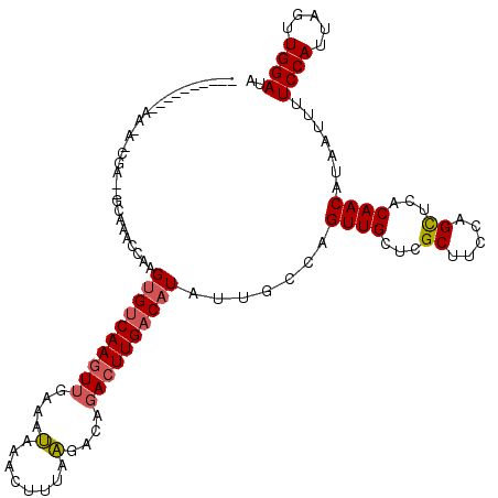 secondary structure