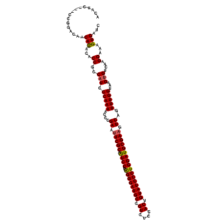 secondary structure