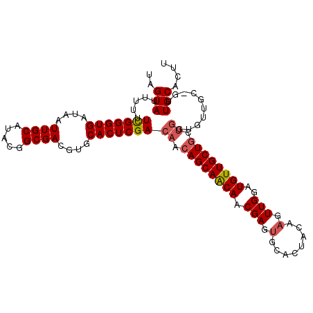 secondary structure