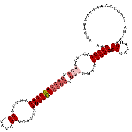 secondary structure